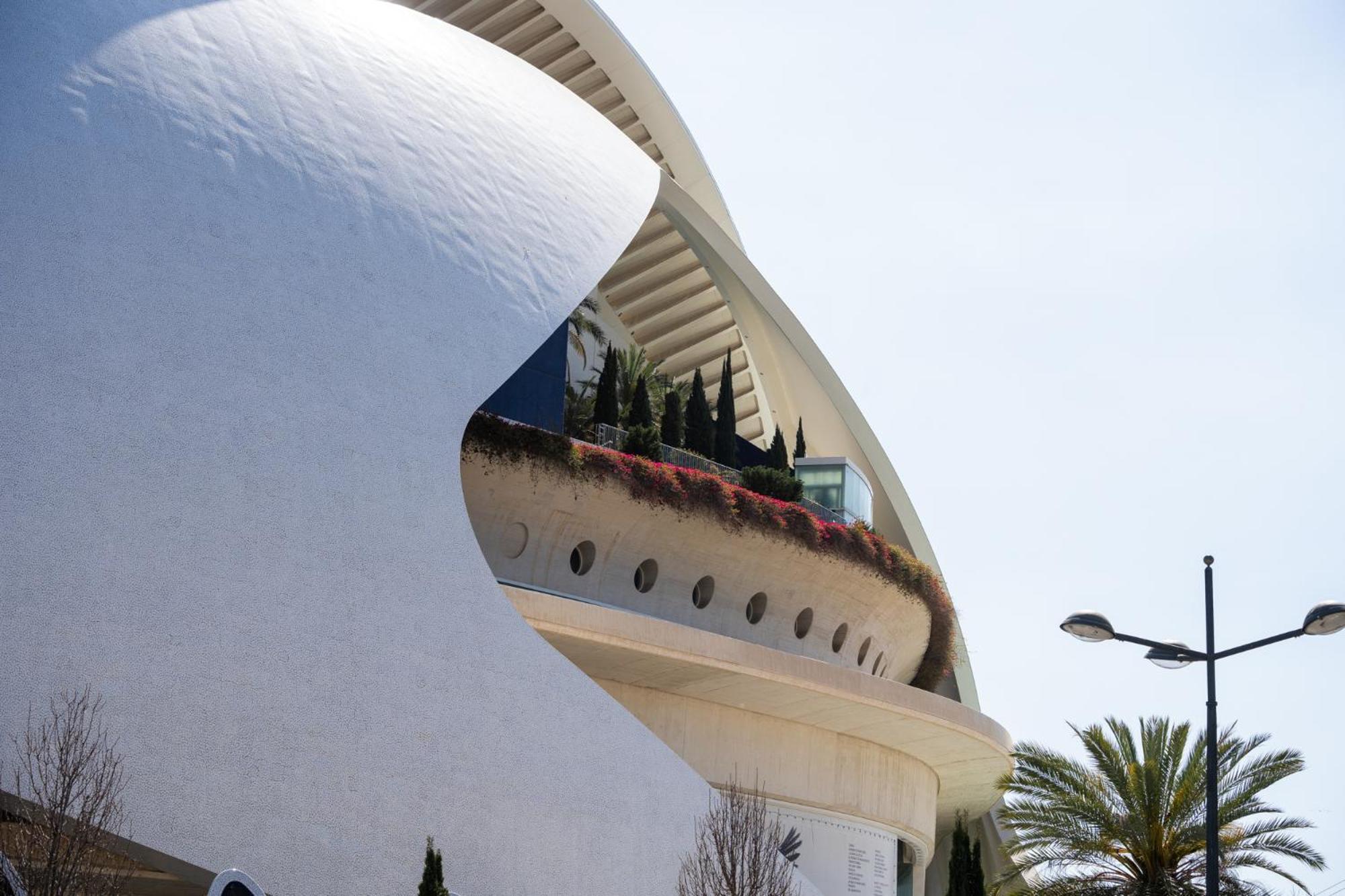 Alojamiento Junto Al Oceanografic Valencia Exterior foto